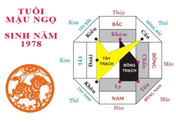 Người sinh năm 1972 hợp hướng nào?