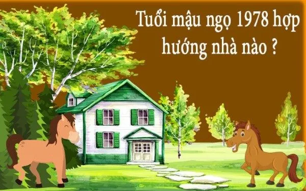 Tử vi tuổi Mậu Ngọ 1978 hợp hướng nào?