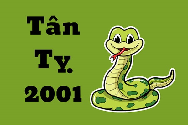 Tuổi Tân Tỵ 2001