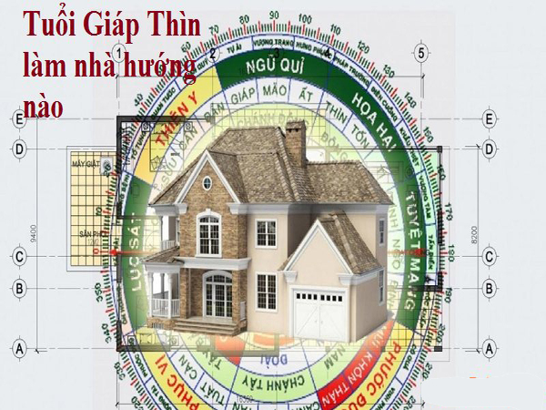 Tuổi giáp thìn hợp hướng nào? - Cách chọn hướng nhà phù hợp với tuổi Giáp Thìn