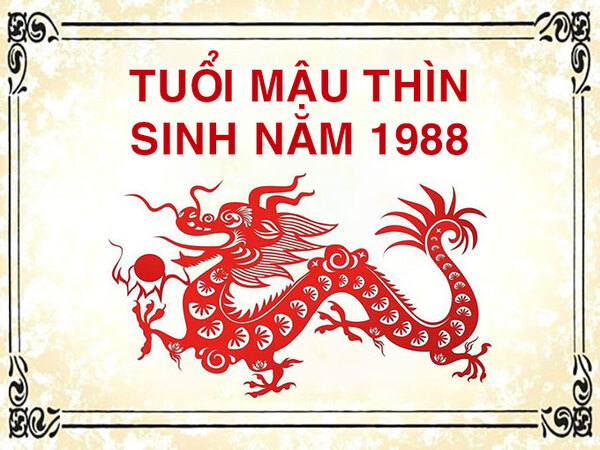 Tổng quan về tuổi Mậu Thìn 1988