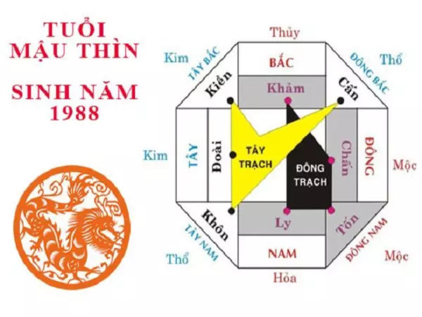 Các hướng cần tránh cho tuổi Mậu Thìn