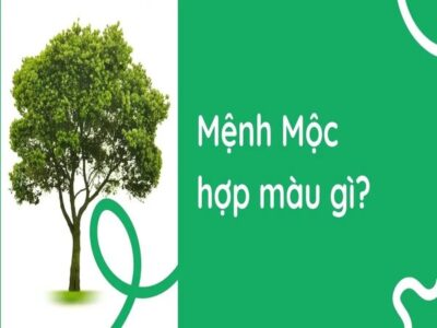 Những điều cần lưu ý khi lựa chọn màu sắc cho người mệnh Mộc