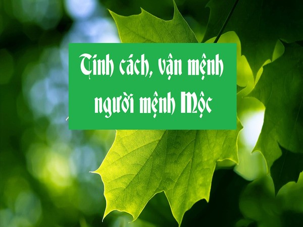 Tính cách và các ưu nhược điểm của người mênh Mộc