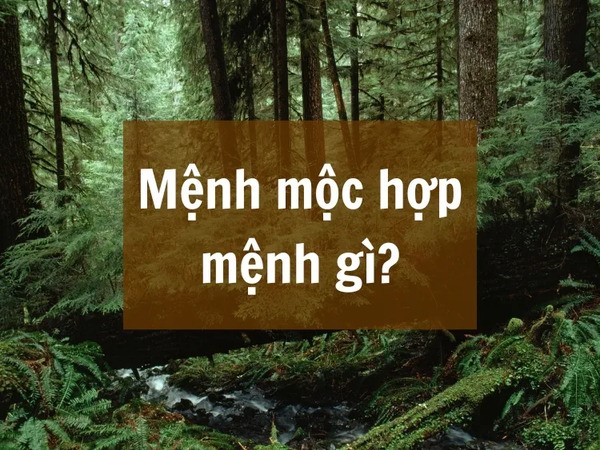 Mệnh Mộc hợp mệnh gì?