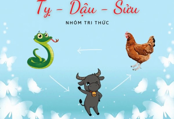 Tam hợp là gì?