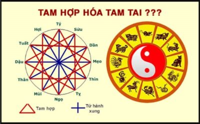 Tam hợp hoá tam tai là gì?