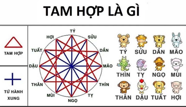 Tam hợp là gì?