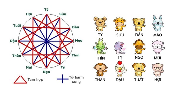 Tứ hành xung là gì?