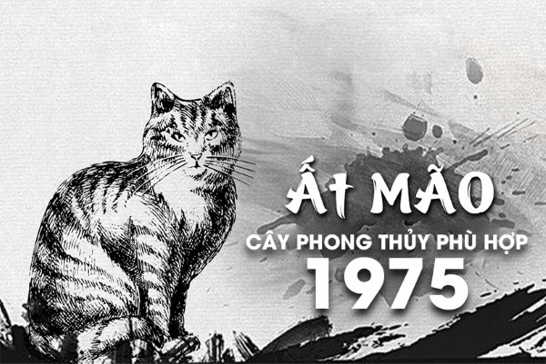 Tuổi Ất Mão (1915, 1975) hợp cây phong thủy gì?