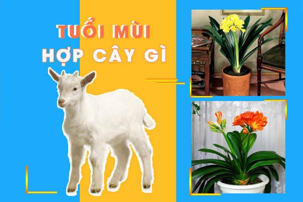 Người tuổi Mùi hợp cây gì?