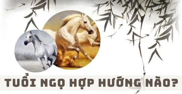 Tuổi Ngọ hợp hướng nào tốt