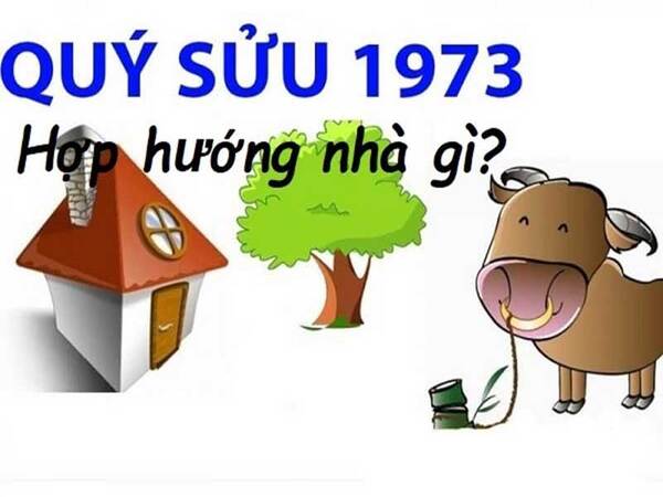 Tuổi sửu hợp hướng nào? - Hướng nhà hợp với tuổi Quý Sửu 1973