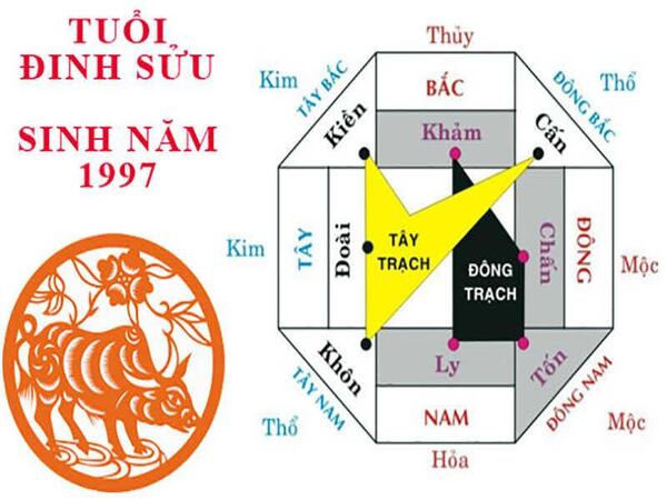 Hướng nhà hợp với tuổi Đinh Sửu 1977