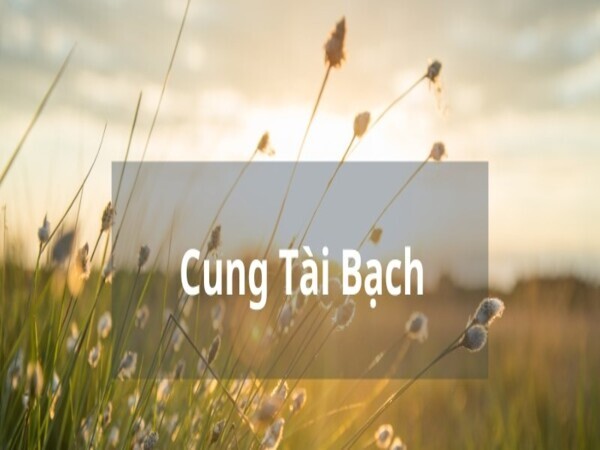 Cung Tài Bạch là gì?