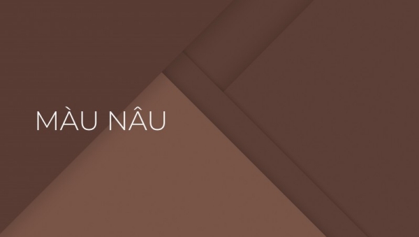 Sắc thái màu nâu đất