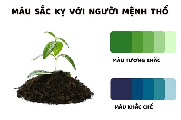 Màu sắc kỵ mệnh thổ 1998