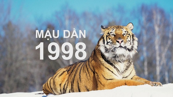Mậu dần 1998