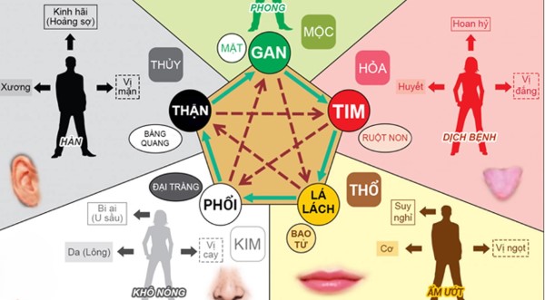 Ngũ hành Thổ ảnh hưởng sâu sắc đến đời sống cá nhân của mỗi người