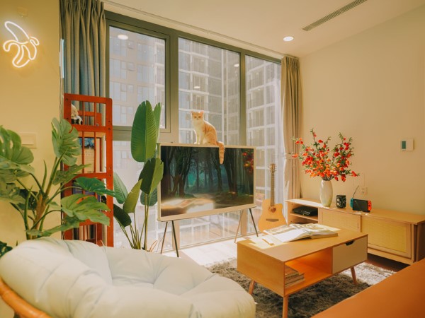 Cách phối màu sơn nhà giúp người mệnh Thổ giúp không gian sống hài hòa và vượng khí