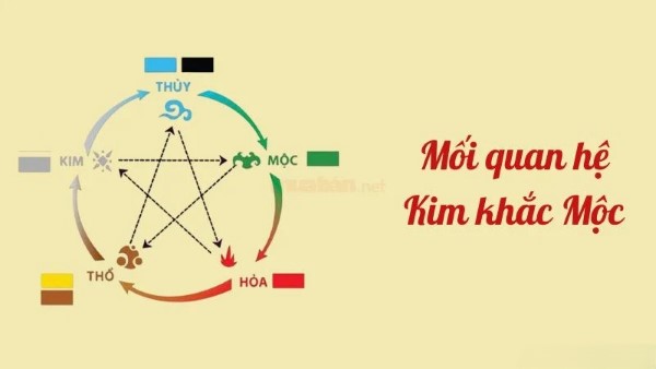 Những lưu ý quan trọng khi xem xét sự hợp – khắc giữa Thổ và Mộc