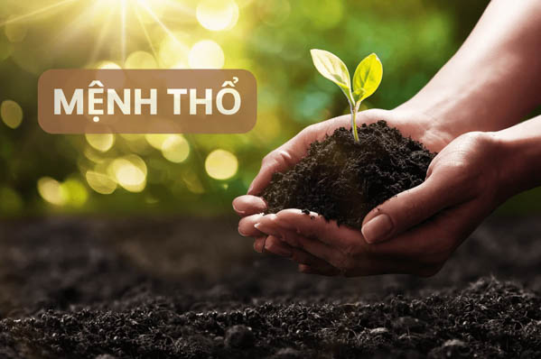 Mệnh Thổ là gì? Mệnh Thổ là gì?