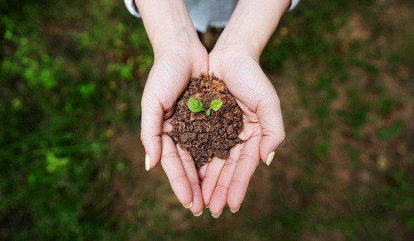 Ưu và nhược điểm khi hai người cùng mệnh Thổ kết hợp