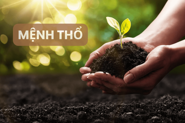 Cách cân bằng và tối ưu trong mối quan hệ với một người cùng mệnh Thổ
