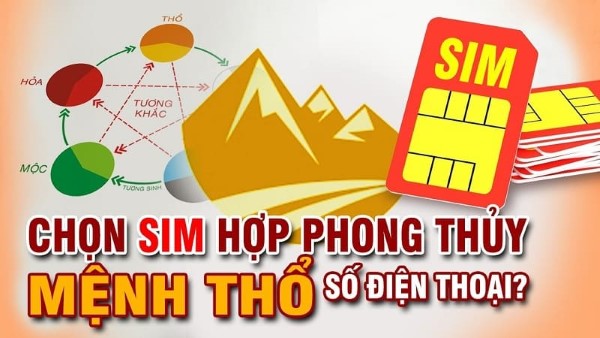Sim hợp mệnh Thổ là một nhu cầu tâm linh sâu sắc của nhiều người
