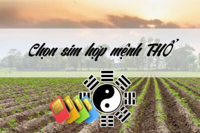 Những nguyên tắc cốt lõi khi chọn sim hợp mệnh Thổ