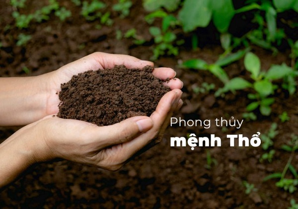 Thổ đại diện cho đất đai, cội nguồn của sự sống