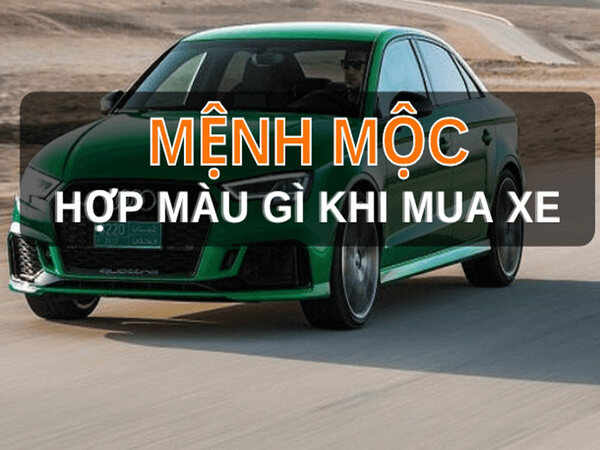 Lưu ý phong thủy khi mua xe cho người mệnh Mộc Lưu ý phong thủy khi mua xe cho người mệnh Mộc