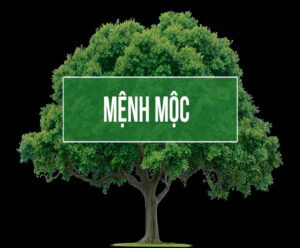 Khi nào người mệnh Mộc có thể dùng màu hồng? Khi nào người mệnh Mộc có thể dùng màu hồng?