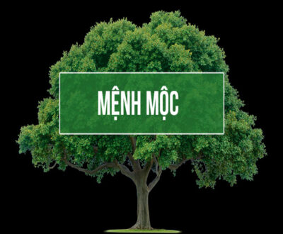 Mệnh mộc hợp màu hồng không​? Lý giải sự kết hợp theo ngũ hành