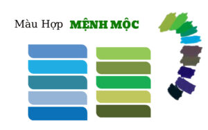 Các màu sắc thực sự hợp phong thủy với mệnh Mộc Các màu sắc thực sự hợp phong thủy với mệnh Mộc