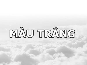 Màu sắc kỵ đối với người mệnh mộc Màu sắc kỵ đối với người mệnh mộc