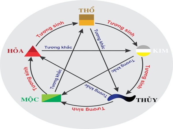 Tổng quan về mệnh Mộc trong ngũ hành Tổng quan về mệnh Mộc trong ngũ hành