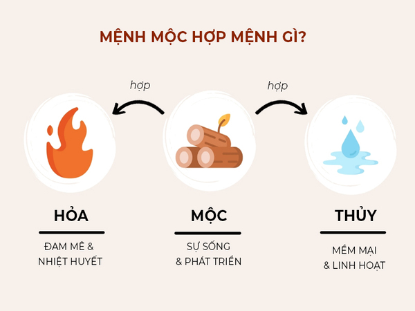 Mệnh Mộc hợp với mệnh gì nhất? Mệnh Mộc hợp với mệnh gì nhất?