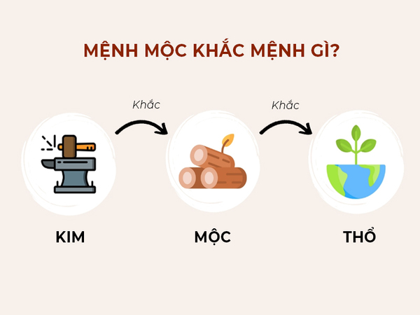Mệnh Mộc khắc với mệnh gì? Mệnh Mộc khắc với mệnh gì?