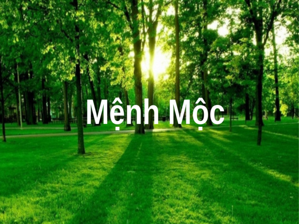 Áp dụng sự hiểu biết về mệnh Mộc trong cuộc sống Áp dụng sự hiểu biết về mệnh Mộc trong cuộc sống