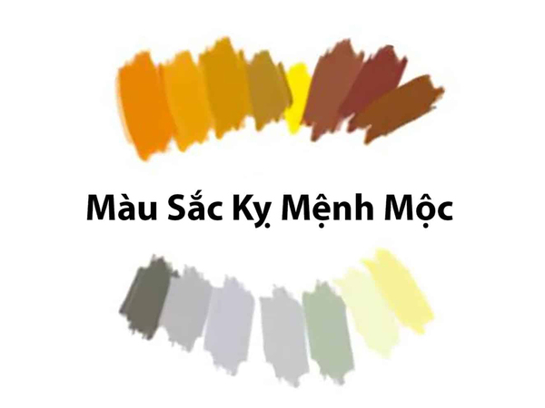 Những màu người mệnh Mộc nên tránh Những màu người mệnh Mộc nên tránh