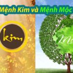 Mệnh Mộc và mệnh Kim có hợp nhau không? Phân tích từ gốc đến giải pháp