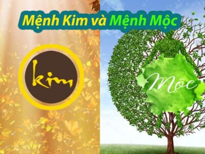 Mệnh Mộc và mệnh Kim có hợp nhau không? Phân tích từ gốc đến giải pháp