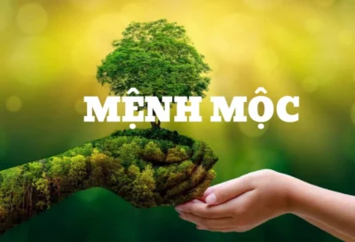 Mệnh mộc hợp màu trắng không​? Giải đáp theo ngũ hành phong thủy