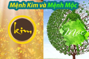 So sánh mức độ hợp nhau giữa mệnh Mộc với các mệnh khác So sánh mức độ hợp nhau giữa mệnh Mộc với các mệnh khác